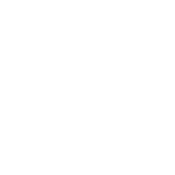 BASIS_NWE_-LOGOS_0002_teamnl