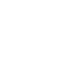 BASIS_NWE_-LOGOS_0010_IDTV_Logo.svg